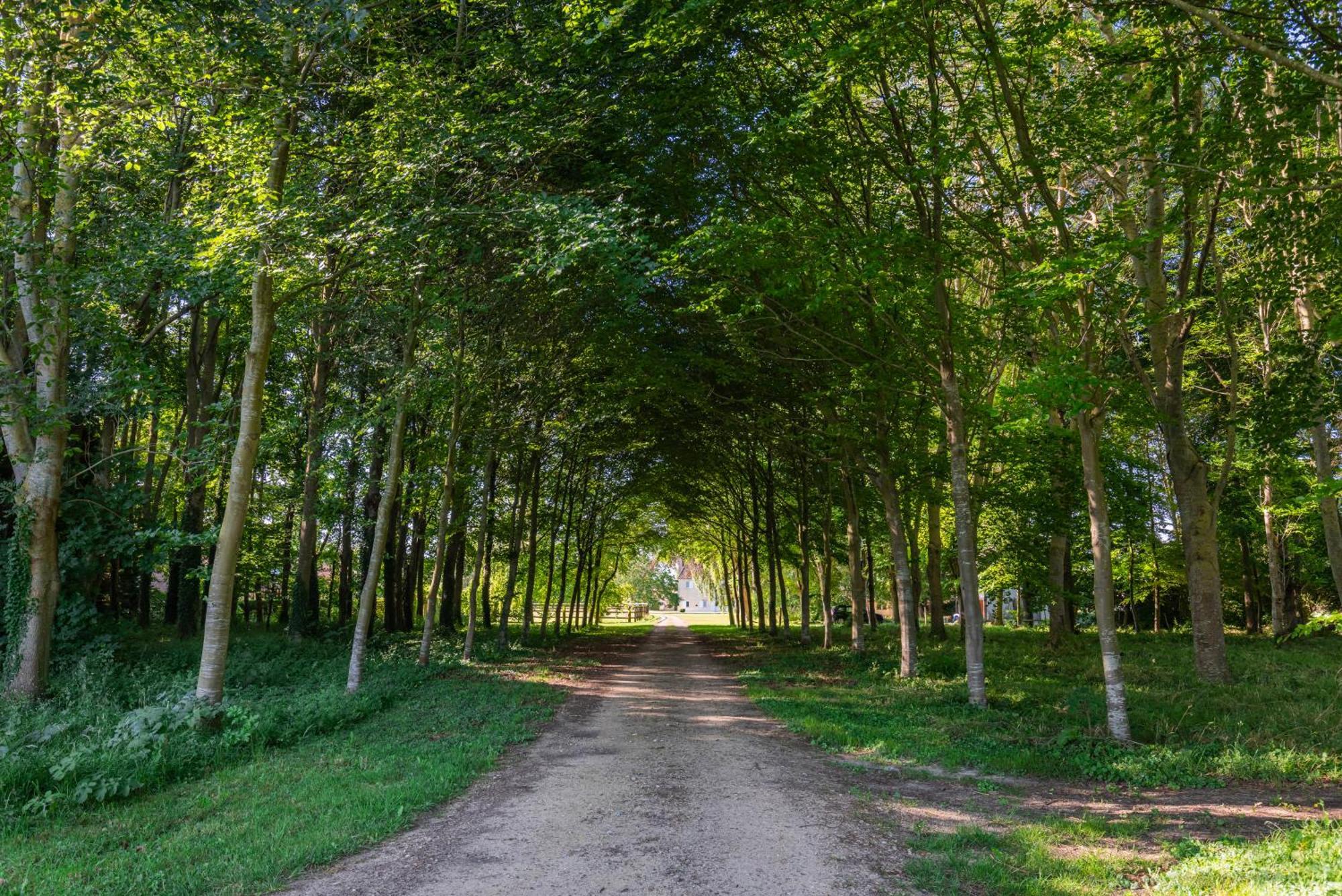 Charmante Chaumiere Romantique Bieville-en-Auge Dış mekan fotoğraf